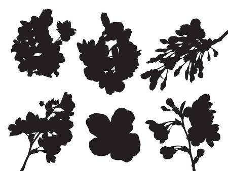 Full bloom sakura flower tree isolated oval border, black japan flora bush round frame, spring floral circle branch on white background. Treetop of Cherry blossom petal leaf silhouette vector.のイラスト素材