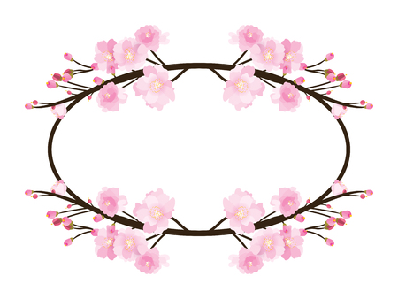Full bloom sakura flower tree isolated oval border, pink japan flora bush round frame, spring floral circle branch on white background. Treetop of Cherry blossom petal leaf vector.のイラスト素材