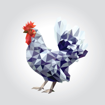 One rooster with colorful feather low polygon standing isolated on white background, red face and cockscomb, yellow beak, bright orange wings, long grey tail. Chicken geometric design illustration.のイラスト素材