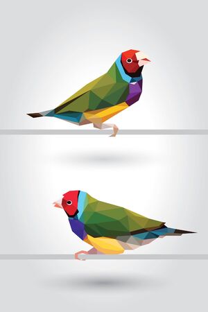 Two Rainbow Finch bird low polygon isolated on gray background, colorful  pet modern geometric icon, Red-headed green wings crystal design illustration.のイラスト素材