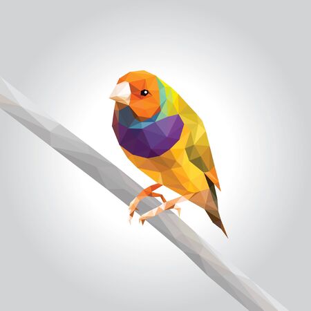 One rainbow finch low polygon isolated on gray background, colorful pet modern geometric icon, orange head green wings bird crystal design illustration.のイラスト素材