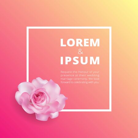 Full bloom pink rose flower isolated on white background wedding card template, Cherry blossom floral vintage invitation frame. Japan spring flora wreath curl border tag element.のイラスト素材