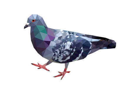 One gray pigeon blue wings low polygon isolated on white background, colorful dove bird modern geometric icon, avian pet crystal design illustration.のイラスト素材