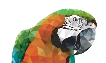 Green Macaw orange feather low polygon isolated on white background, colorful parrot bird black beak blue wings modern geometric icon, pet crystal design illustration.のイラスト素材