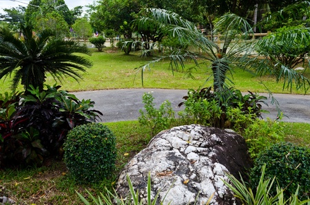 Garden の写真素材