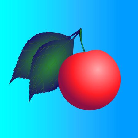 red berry with green leaves. Vector Illustrationのイラスト素材