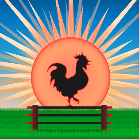 Cock on the background of sunrise vector Illustration.のイラスト素材