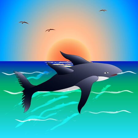 Dolphin in the ocean vector illustrationのイラスト素材