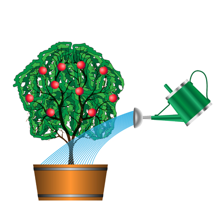Watering with a watering can of fruit tree on white background. Vector Illustrationのイラスト素材
