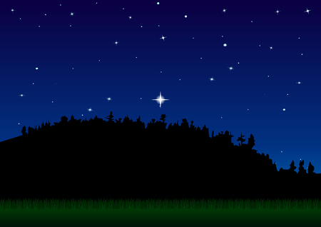 landscape, forest, meadow, starry sky, night, green grass. Vector Illustrationのイラスト素材