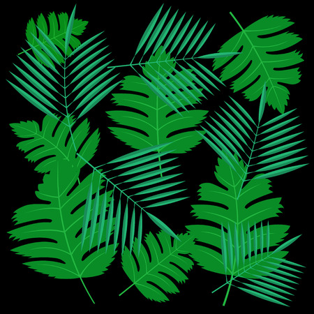 green tropical exotic leaves on black background. Vector Illustrationのイラスト素材