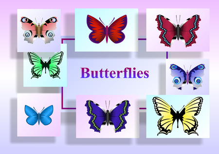butterflies on colored paper sheets, beautiful colorful background. Vector Illustrationのイラスト素材