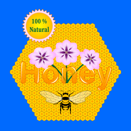 The concept of packaging of natural honey. Advertising layout. Bee, honeycomb, flowers. Vector Illustrationのイラスト素材