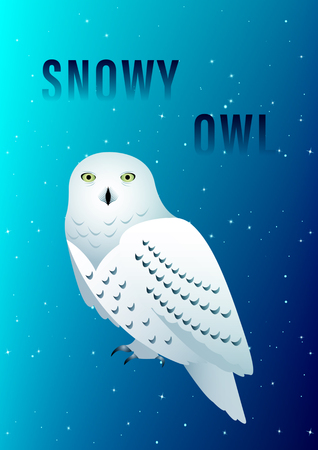 Snowy Owl against the starry sky. Vector Illustrationのイラスト素材