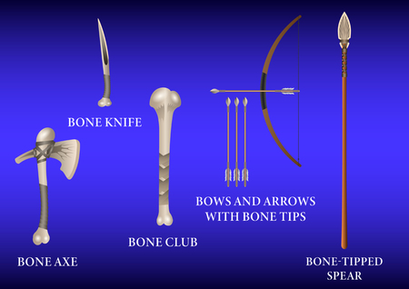 Realistic 3d Set Bone fighting cold weapon izolated on a blue background. Vector Illustrationのイラスト素材