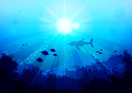 shark and small fish are circling under the water illuminated by sunlight and rays, coral reef, view with the bottom of the ocean. Realistic Vector Illustrationのイラスト素材