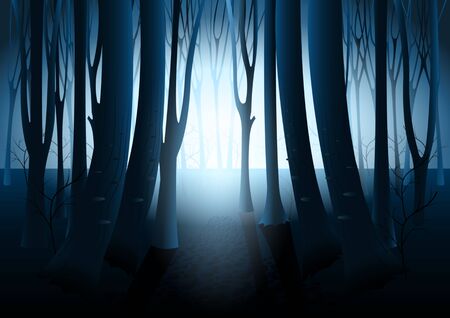 Dark mysterious forest, strange light in paranormal landscape at night. The silhouettes of the trees against the glowの素材 [FY310127906408]