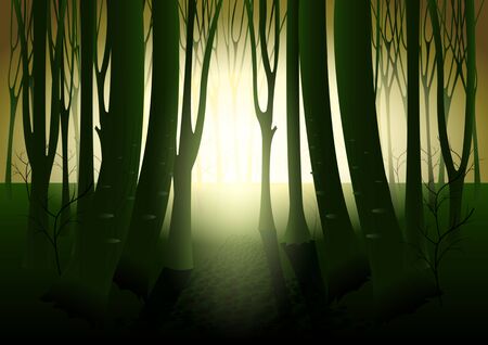 Dark mysterious forest, strange light in paranormal landscape at night. The silhouettes of the trees against the glowのイラスト素材
