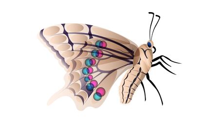 Realistic Butterfly isolated on a white background, side view. Horizontal vector illustrationのイラスト素材