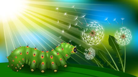 Caterpillar on a blade of grass under the sun, Dandelion with flying fluff. Boke, Realistic horizontal vector illustrationのイラスト素材