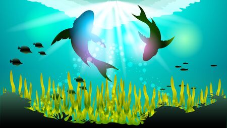 Two big sharks are circling under the water among the corals and algae, in the sunlight. Light effects at the bottom of the sea. Beautiful realistic vector illustration of the underwater world.のイラスト素材