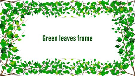 Isolated tree branches with green leaves frame. Vector Illustrationのイラスト素材