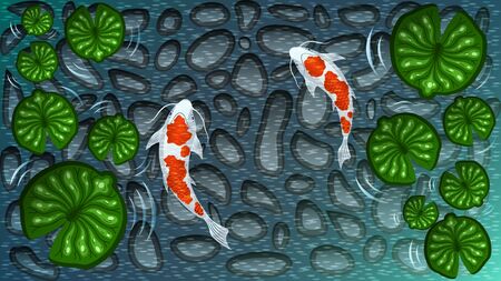 Two white with red spots Koi fishes among green Lotus leavesのイラスト素材