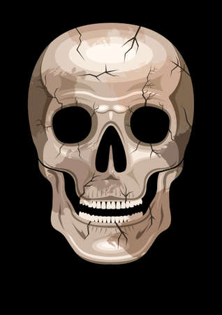 human skull with spots and cracks, front view.のイラスト素材