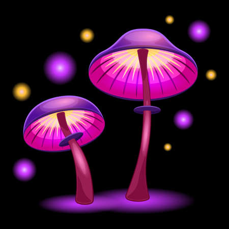 couple fantasy mushrooms cartoon isolated black backgroundのイラスト素材