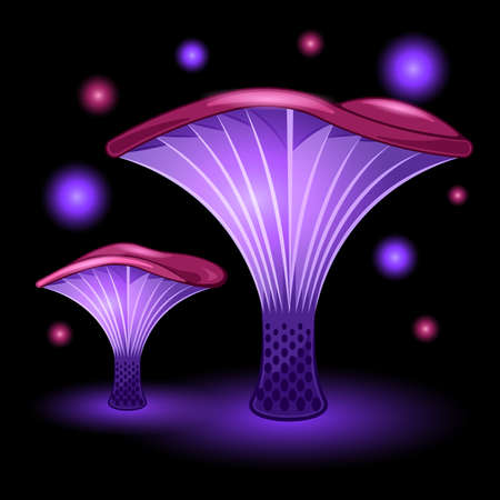 couple fantasy mushrooms cartoon isolated black backgroundのイラスト素材