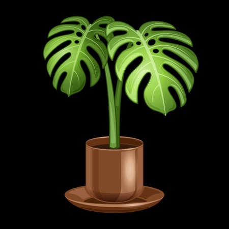 swiss cheese plant in pot realistic cartoon isolatedのイラスト素材