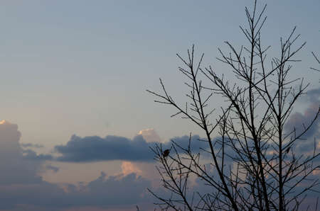 skyの写真素材