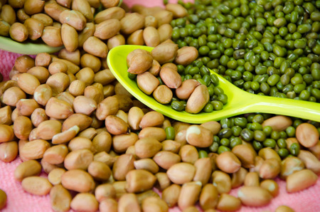 bean on the spoonの写真素材
