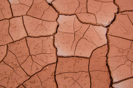 brown dry earth for beauty backgroundの写真素材