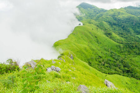 Green grass moutain and white fog is so wonderfulの写真素材