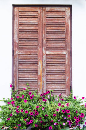The wood window and flowerの写真素材
