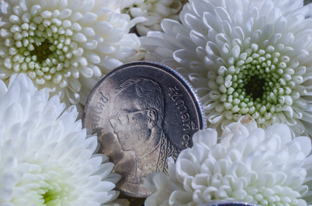 The white flowers is a so beautiful with coin