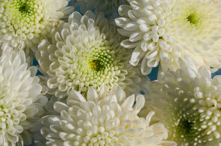 The white flowers is a so beautiful