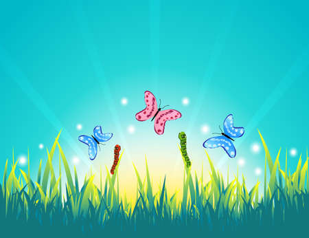 Summer sunny morning landscape with butterflies in the grass. Life of insects in the meadow.のイラスト素材