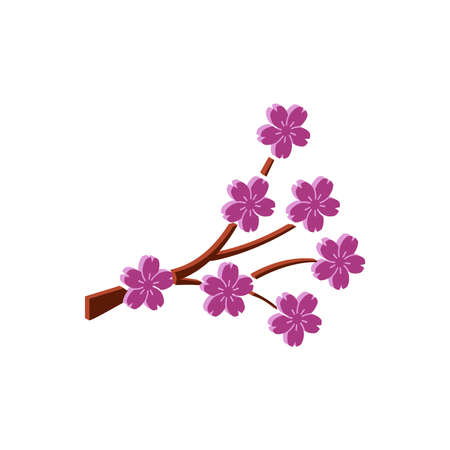 Blooming Japanese Sakura icon isolated on white background .Isometric and 3D view.のイラスト素材