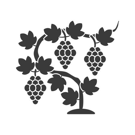 Vineyard glyph icon isolated on white background.Vector illustration.のイラスト素材