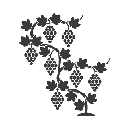 Vineyard glyph icon isolated on white background.Vector illustration.のイラスト素材