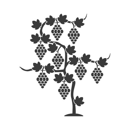 Vineyard glyph icon isolated on white background.Vector illustration.のイラスト素材
