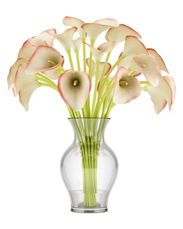 bouquet of calla lilies in glass vase isolated on white backgroundの写真素材