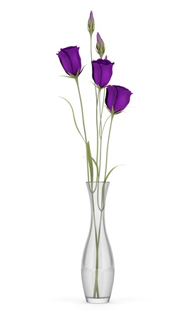 purple eustoma flowers in glass vase isolated on white backgroundの写真素材