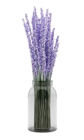 purple lupine flowers in glass jar isolated on white backgroundの写真素材