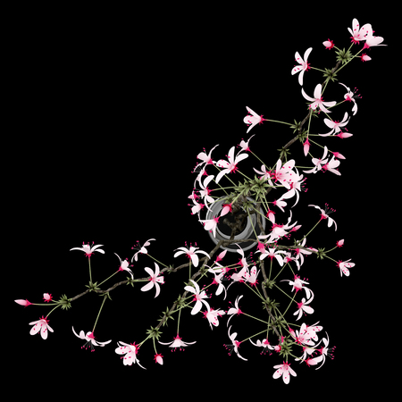 top view of flowering tree twigs in glass vase isolated on black background. 3d illustrationの写真素材