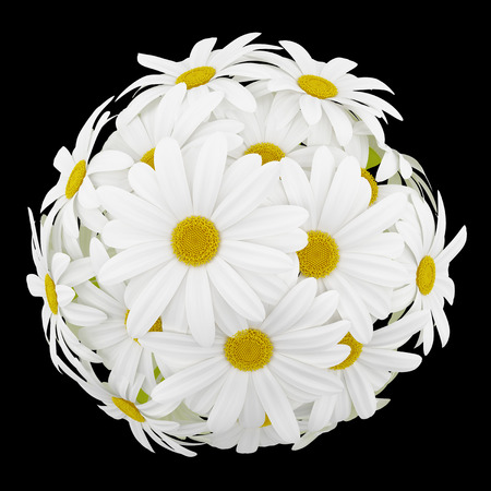 top view of daisies in glass vases isolated on black backgroundの写真素材