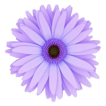 top view of purple flower isolated on white background. 3d illustrationの写真素材