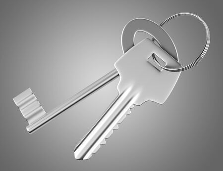 two keys isolated on gray background. 3d illustrationの写真素材